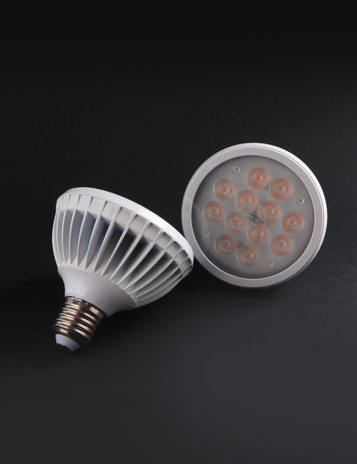 LED PAR30 램프,집중형 램프,전구 교체